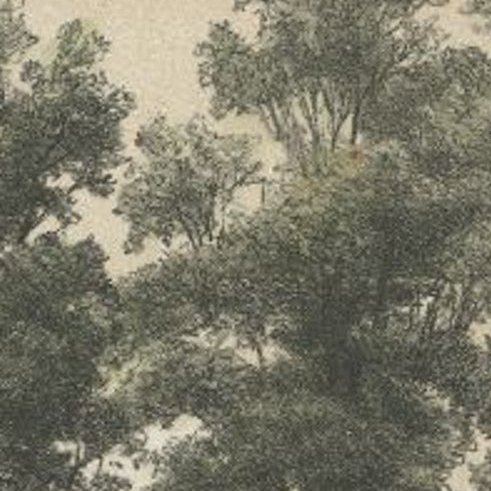 Antique Print of Joure and Osinga State in the Netherlands, 1882