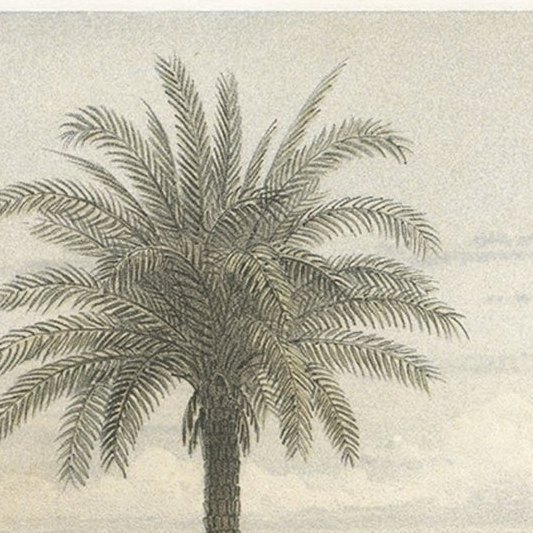 Antique Print of Nice Near Villa Venanson Near Nice in France, c.1865